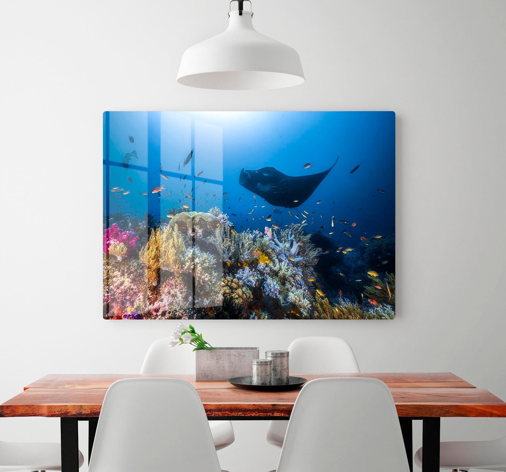 Manta Reef On The Reef HD Metal Print - Canvas Art Rocks - 2