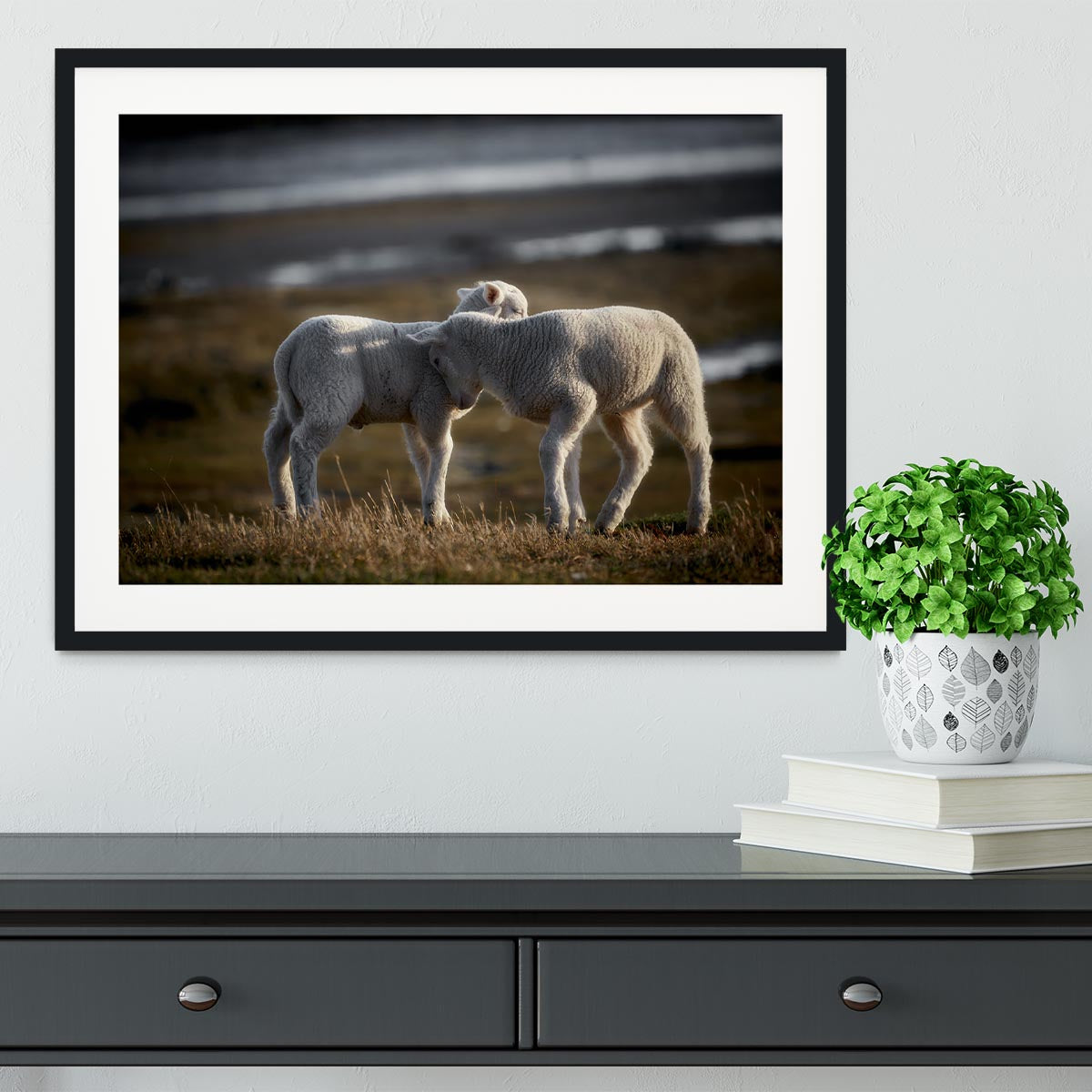 Lambs Framed Print - Canvas Art Rocks - 1