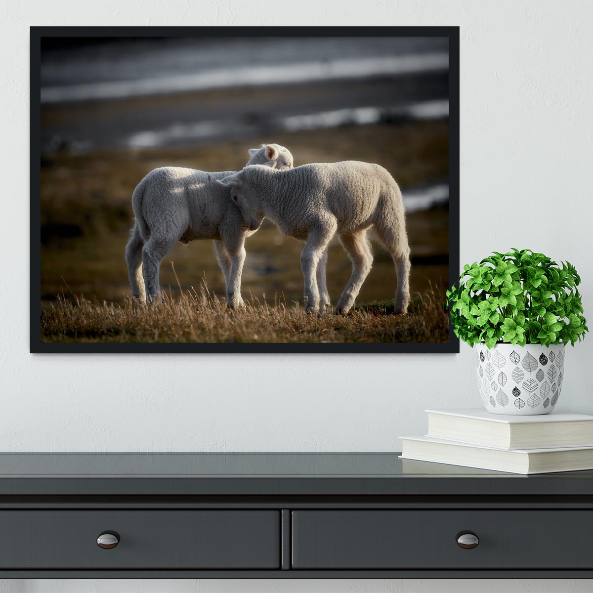 Lambs Framed Print - Canvas Art Rocks - 2