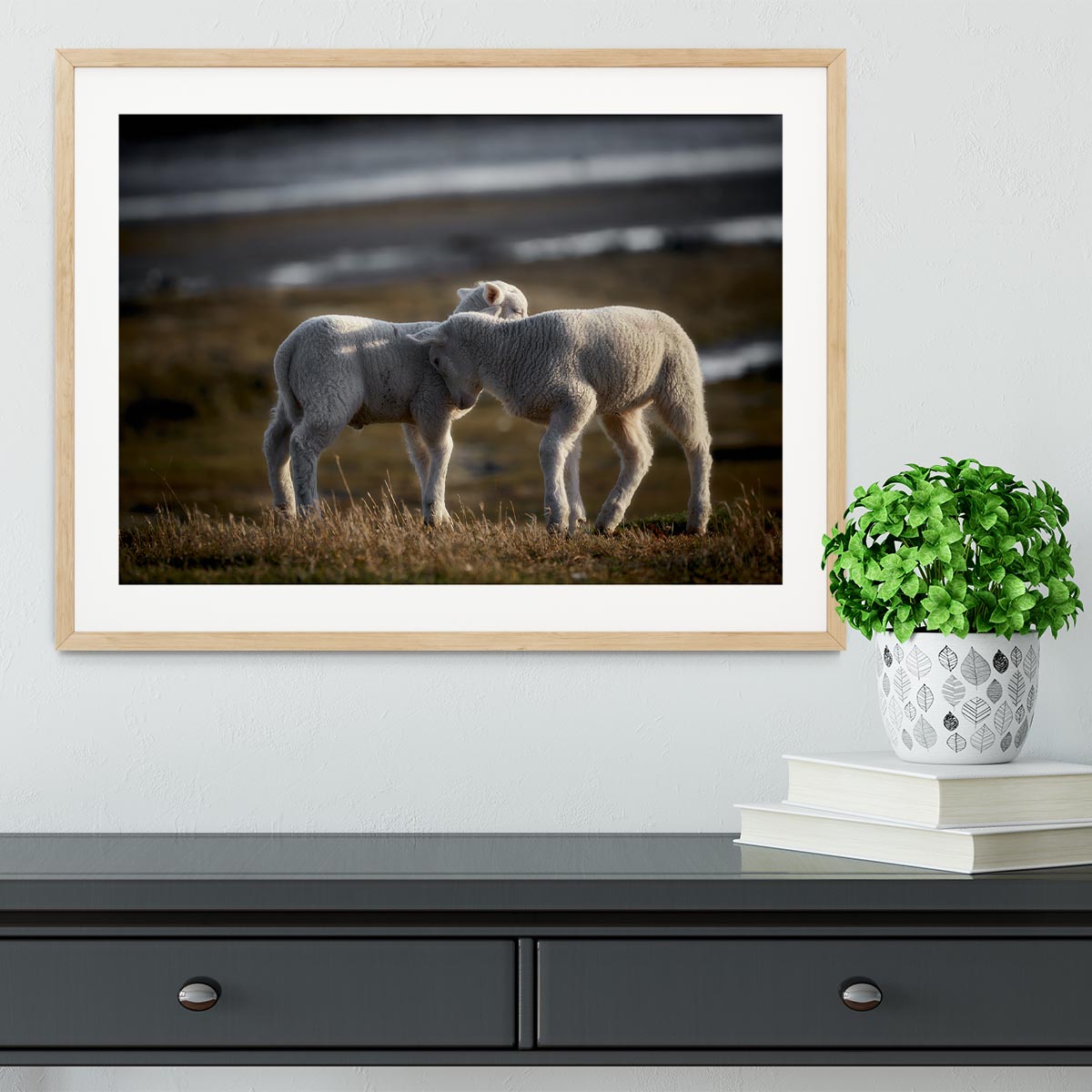 Lambs Framed Print - Canvas Art Rocks - 3