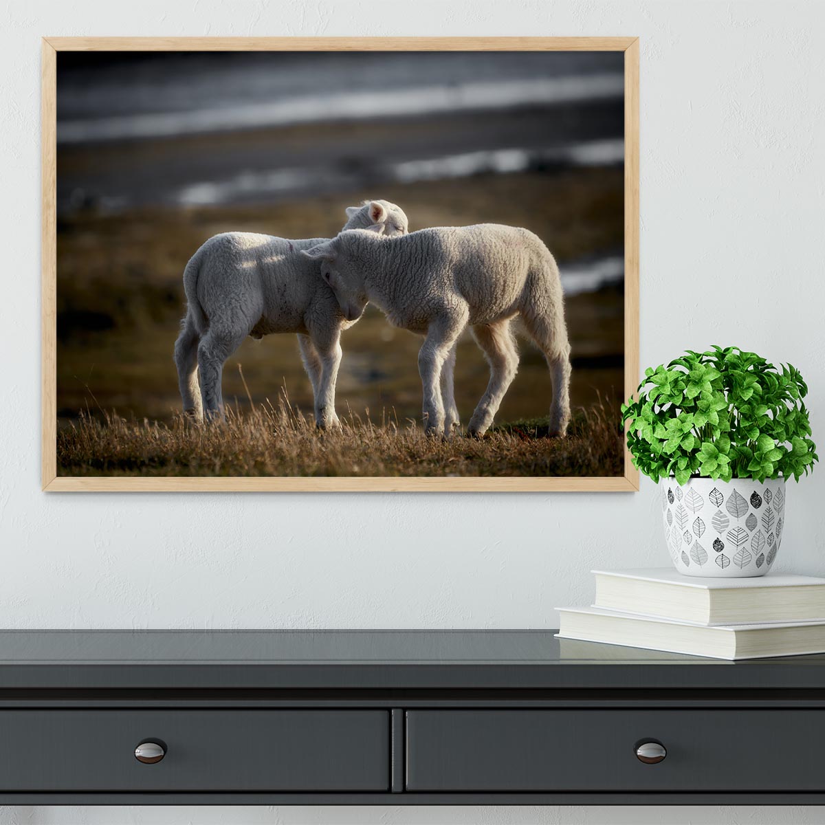 Lambs Framed Print - Canvas Art Rocks - 4