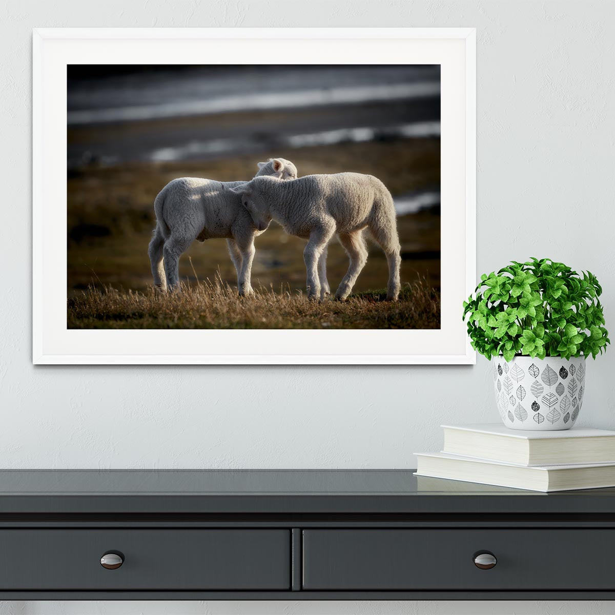 Lambs Framed Print - Canvas Art Rocks - 5
