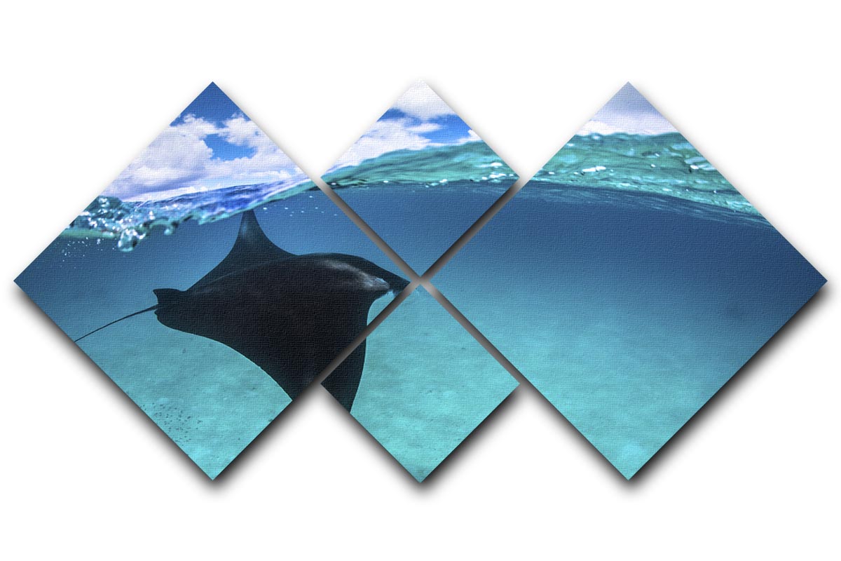 A Reef Manta Ray In Mayotte 4 Square Multi Panel Canvas - Canvas Art Rocks - 1