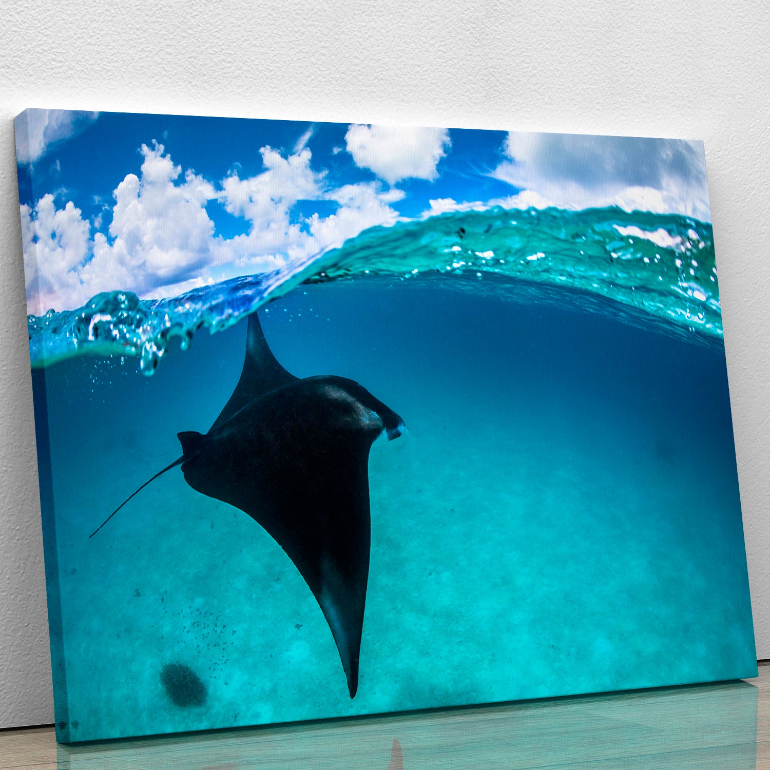 A Reef Manta Ray In Mayotte Canvas Print or Poster - Canvas Art Rocks - 1