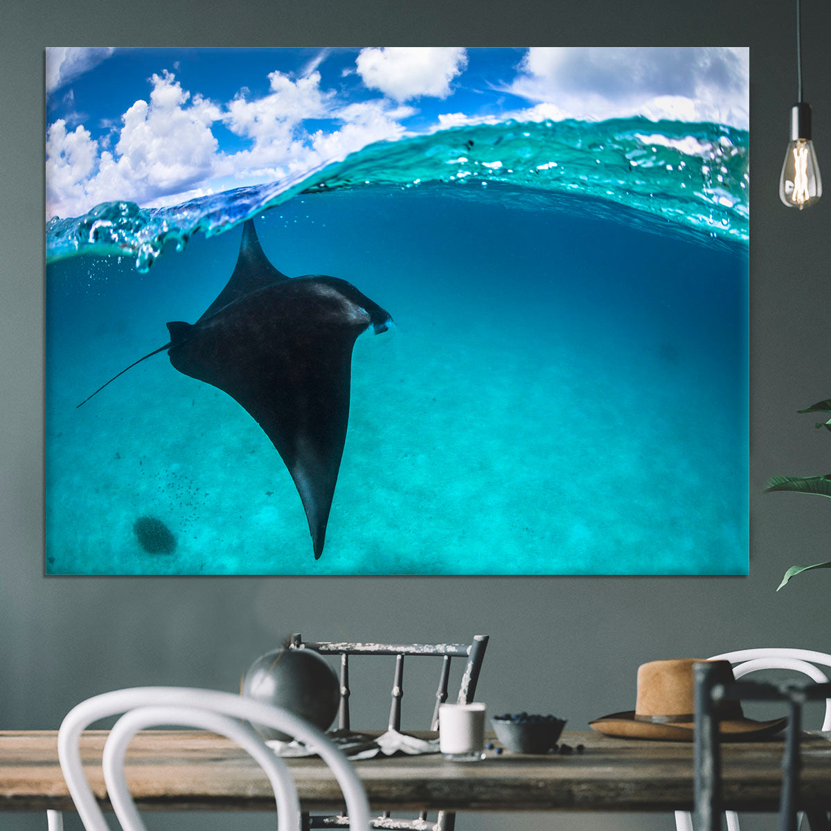 A Reef Manta Ray In Mayotte Canvas Print or Poster - Canvas Art Rocks - 3