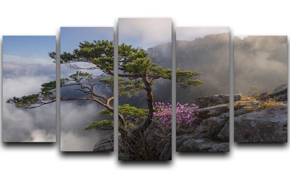 Dream Dancer 5 Split Panel Canvas - Canvas Art Rocks - 1