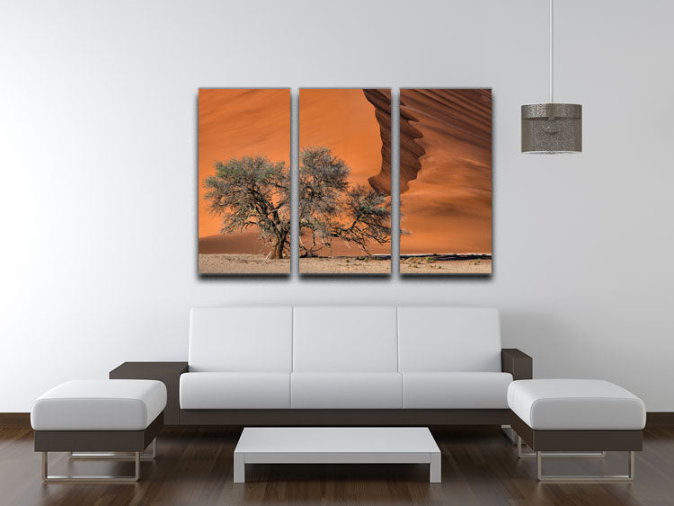 Acacia In The Desert 3 Split Panel Canvas Print - Canvas Art Rocks - 3