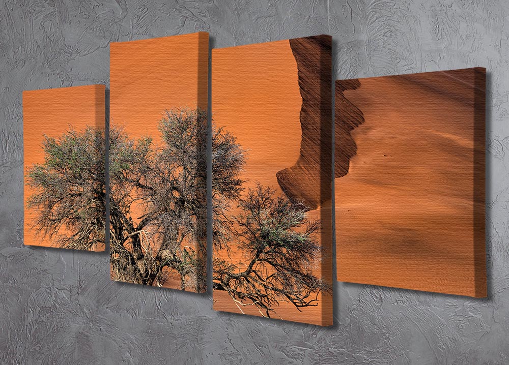Acacia In The Desert 4 Split Panel Canvas - Canvas Art Rocks - 2