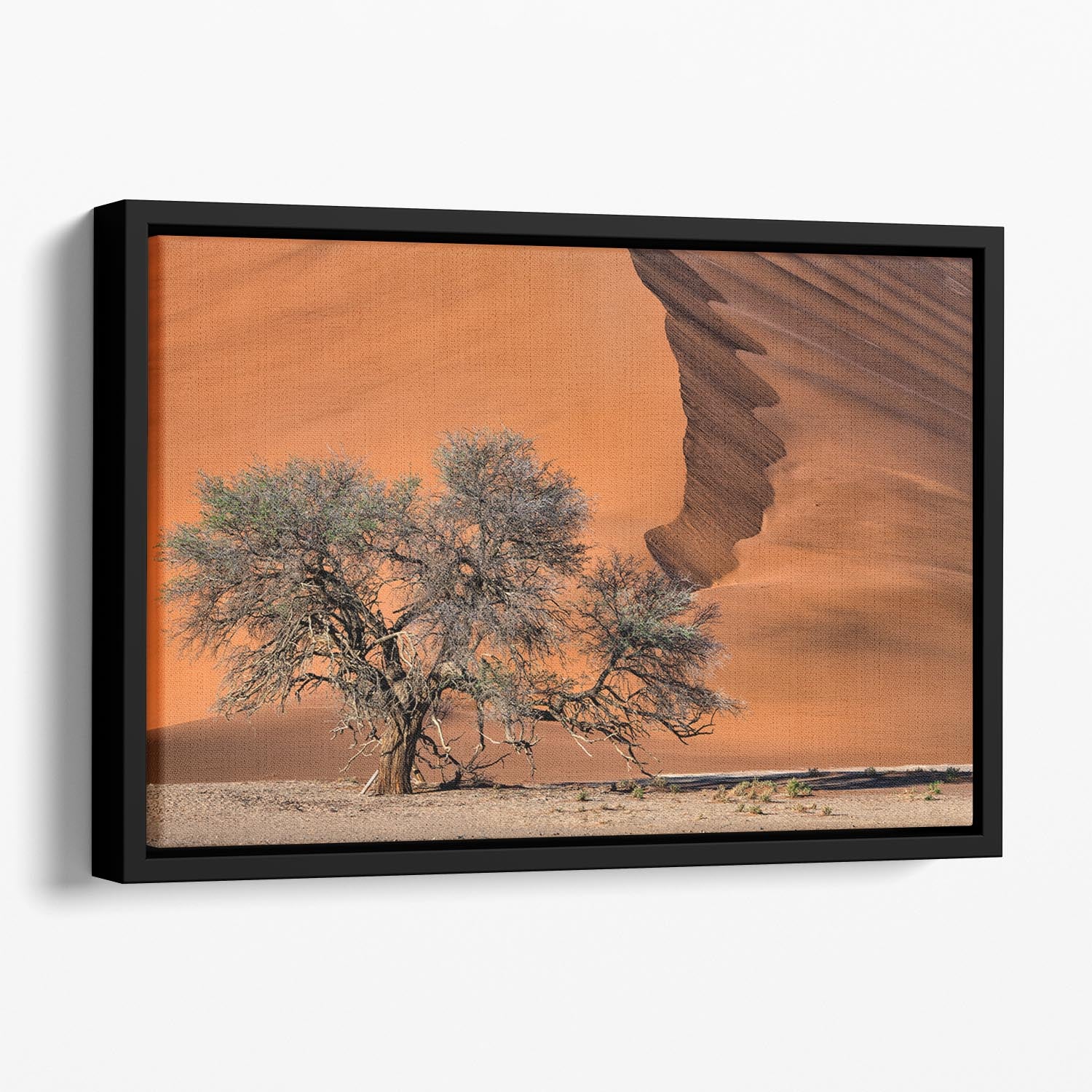 Acacia In The Desert Floating Framed Canvas - Canvas Art Rocks - 1