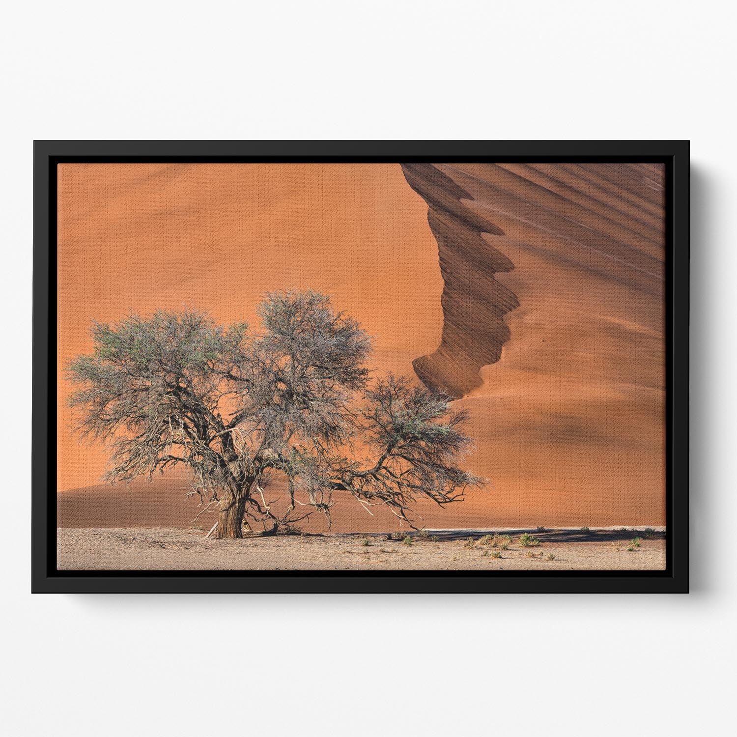 Acacia In The Desert Floating Framed Canvas - Canvas Art Rocks - 2