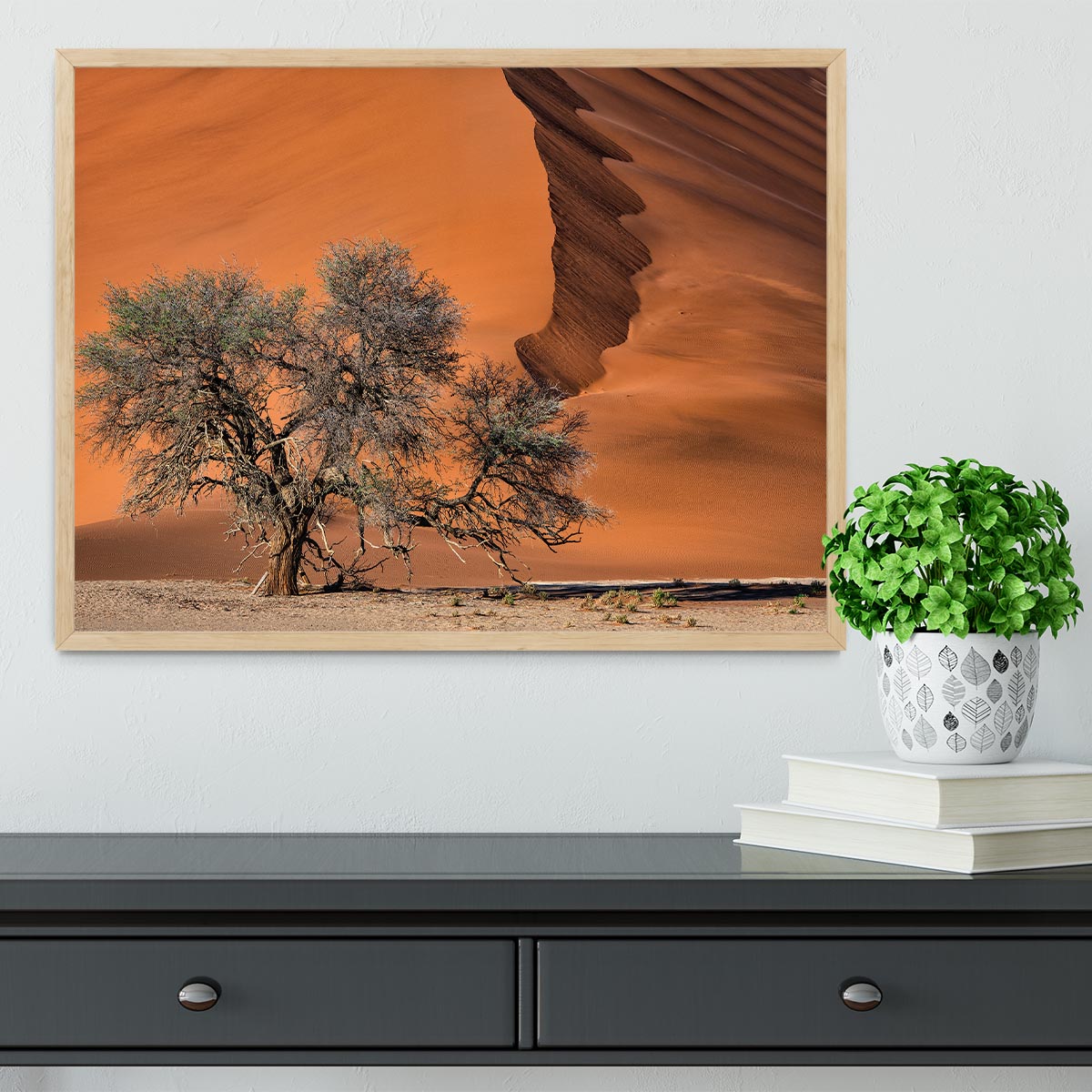 Acacia In The Desert Framed Print - Canvas Art Rocks - 4