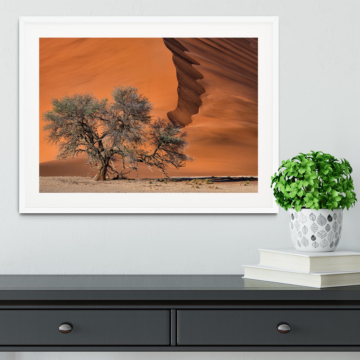 Acacia In The Desert Framed Print - Canvas Art Rocks - 5