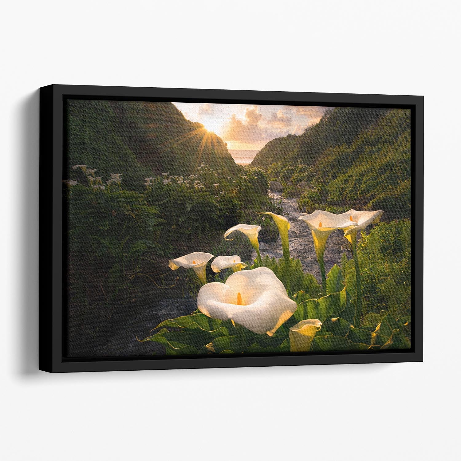 Calla Lily World Floating Framed Canvas - Canvas Art Rocks - 1