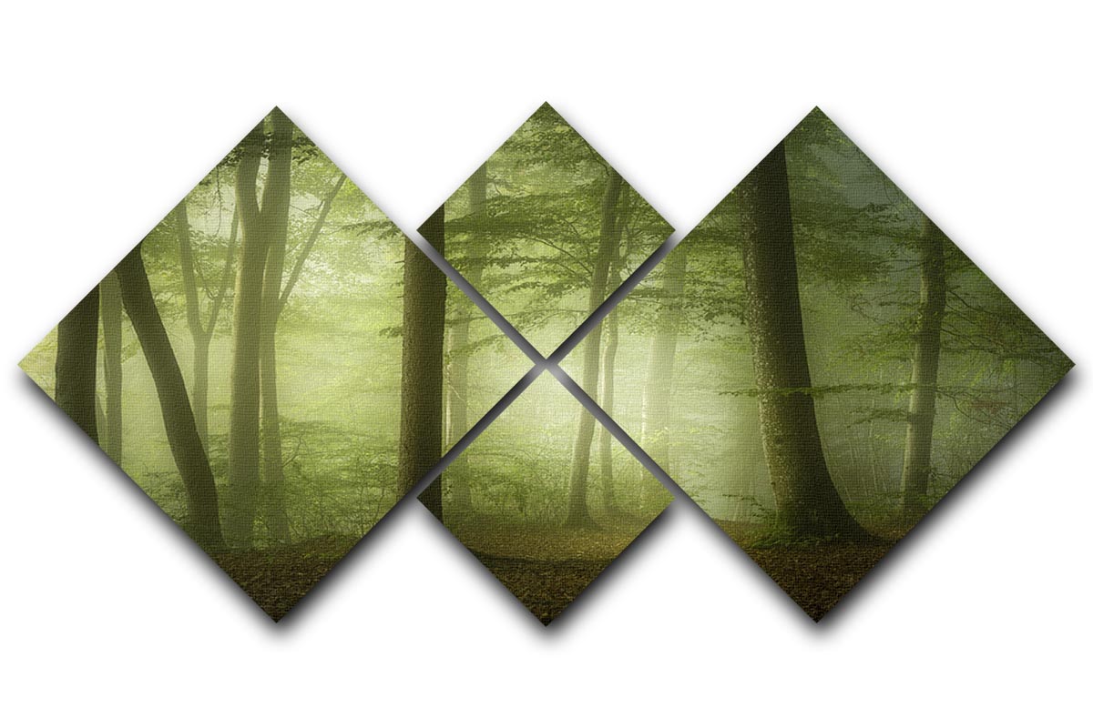 Mysterious Spring Morning 4 Square Multi Panel Canvas - Canvas Art Rocks - 1