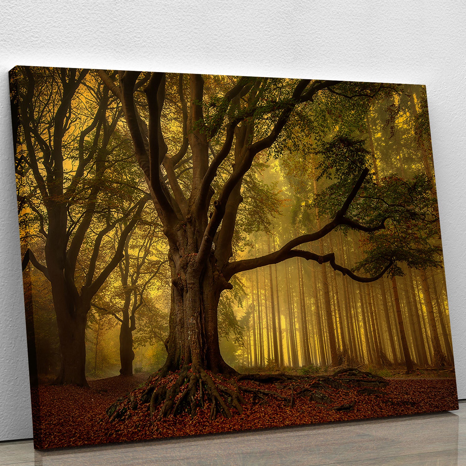 Old Tree Canvas Print or Poster - Canvas Art Rocks - 1