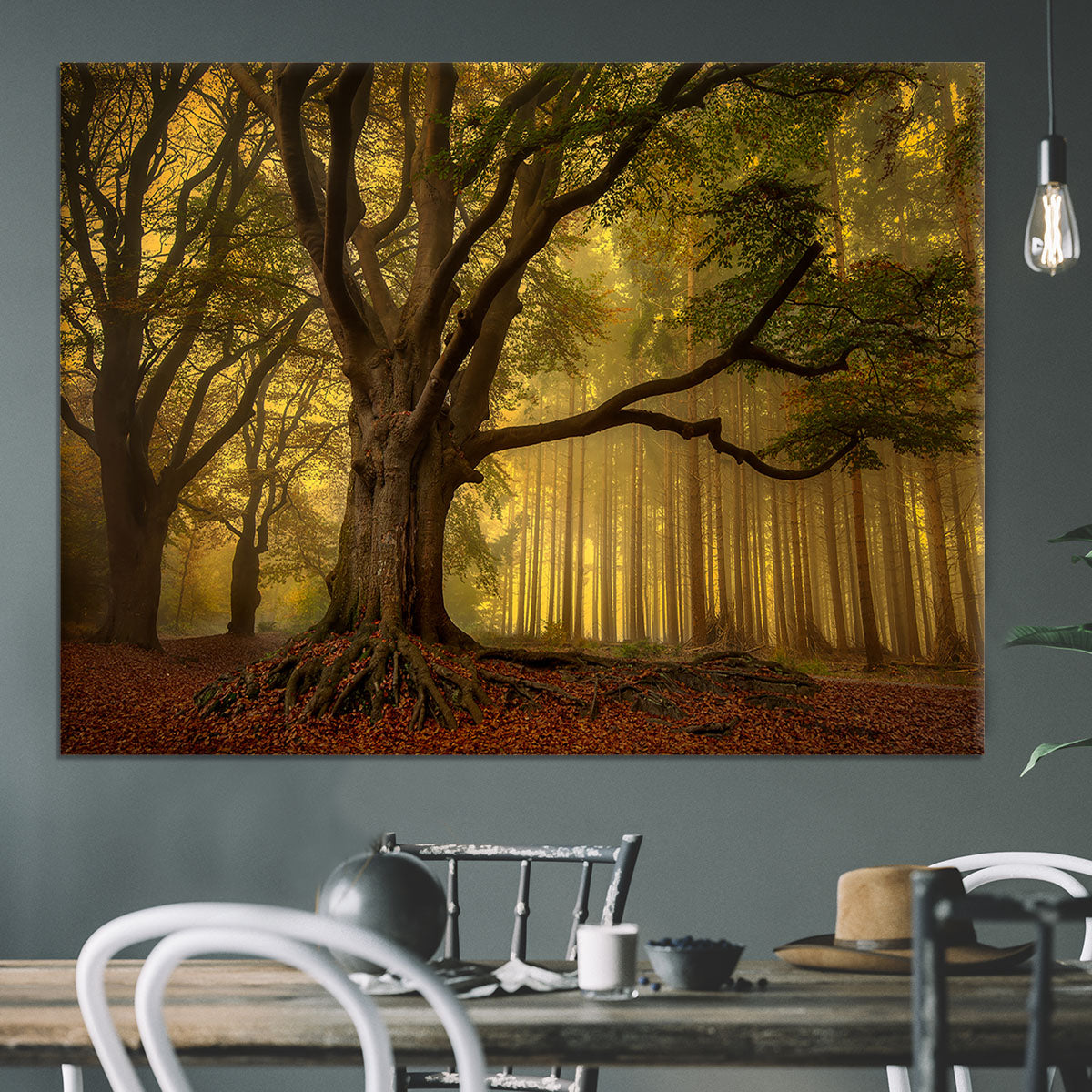 Old Tree Canvas Print or Poster - Canvas Art Rocks - 3