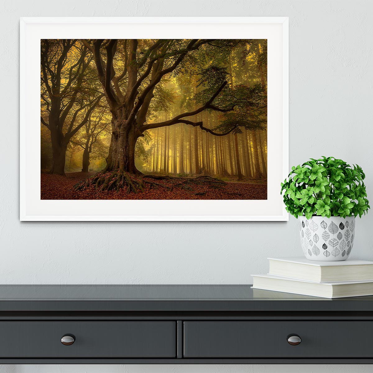 Old Tree Framed Print - Canvas Art Rocks - 5