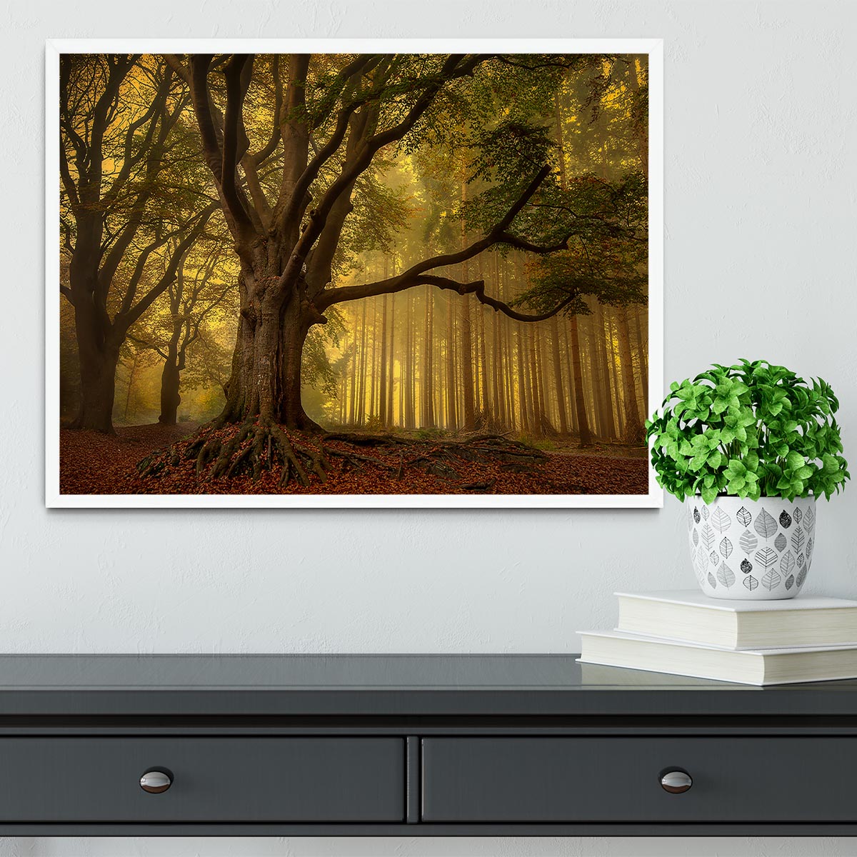 Old Tree Framed Print - Canvas Art Rocks -6