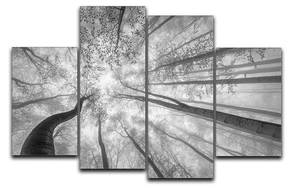 Spring Crown Of Trees 4 Split Panel Canvas - Canvas Art Rocks - 1
