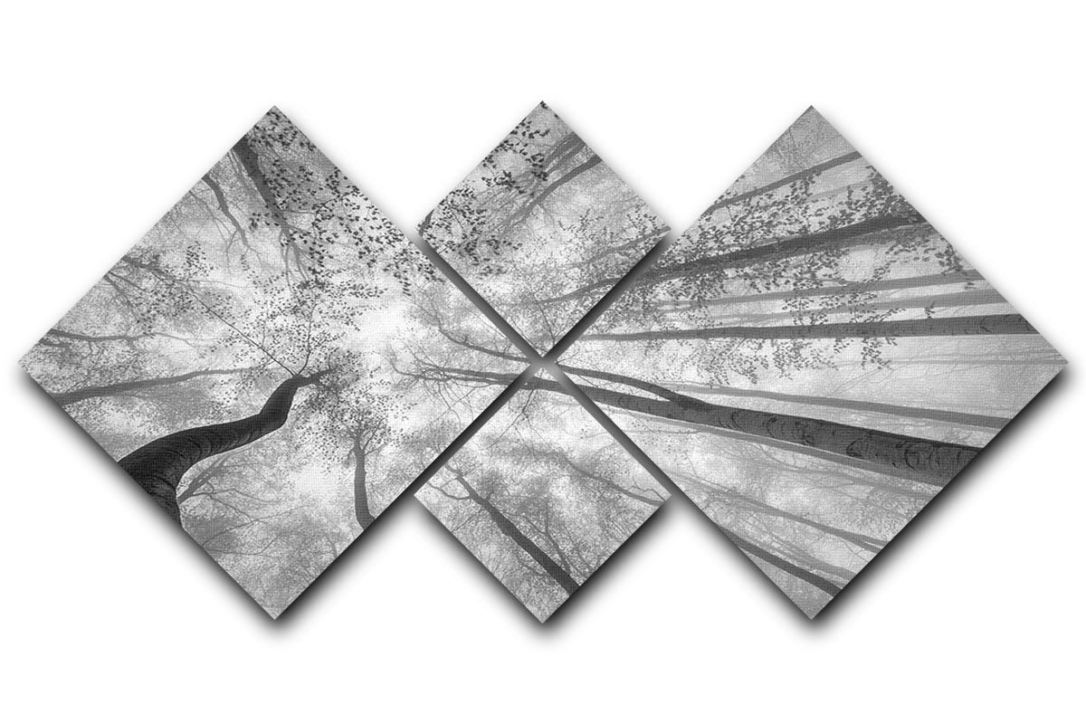 Spring Crown Of Trees 4 Square Multi Panel Canvas - Canvas Art Rocks - 1