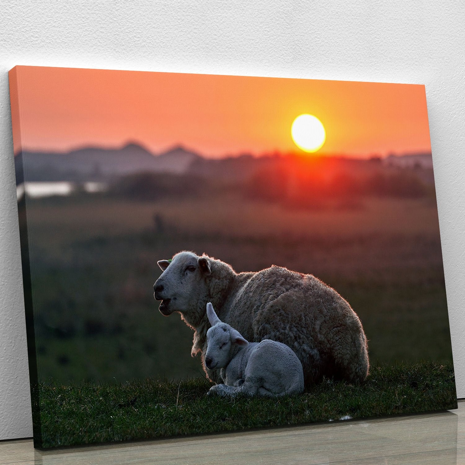 Sleep well Sheep Canvas Print or Poster - Canvas Art Rocks - 1