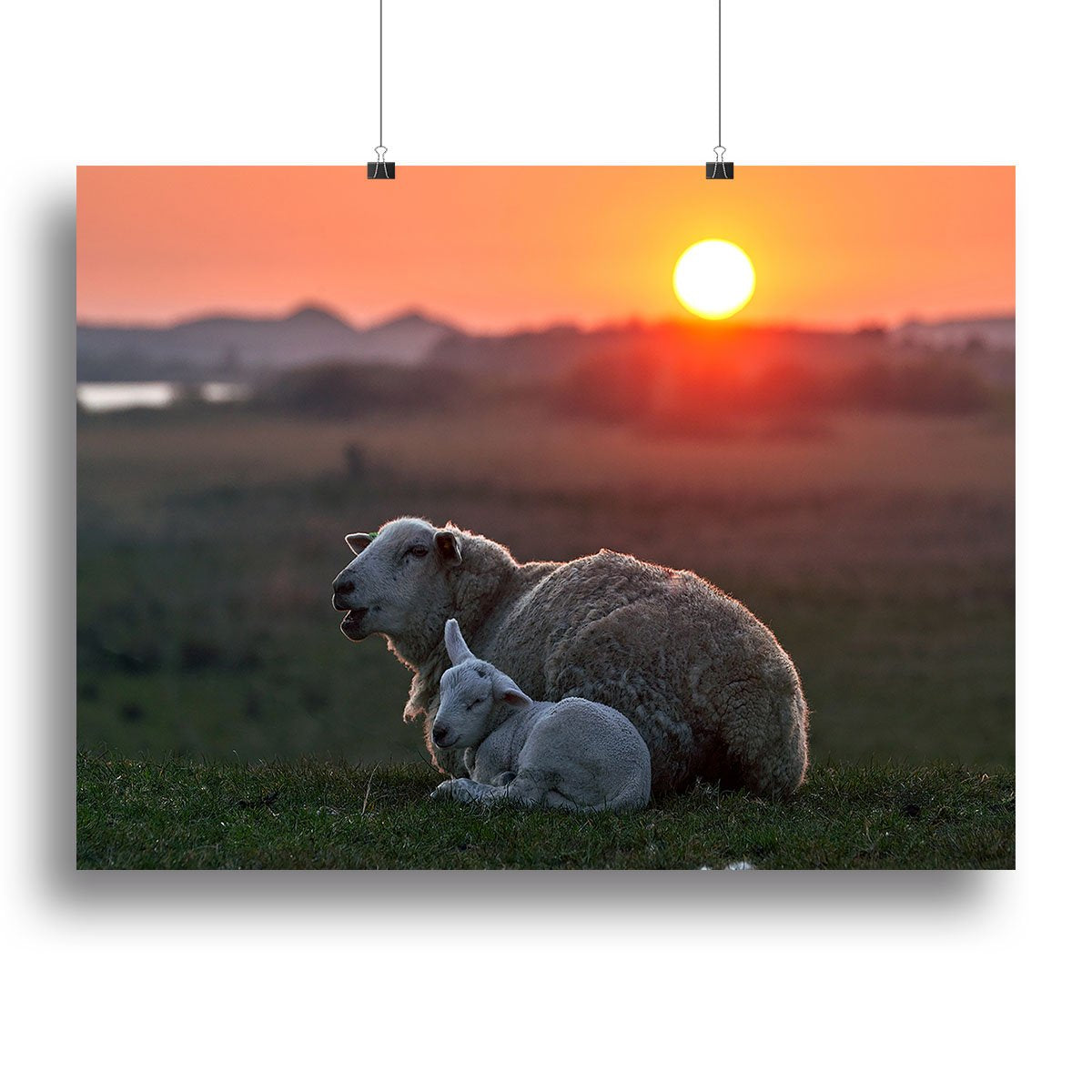 Sleep well Sheep Canvas Print or Poster - Canvas Art Rocks - 2