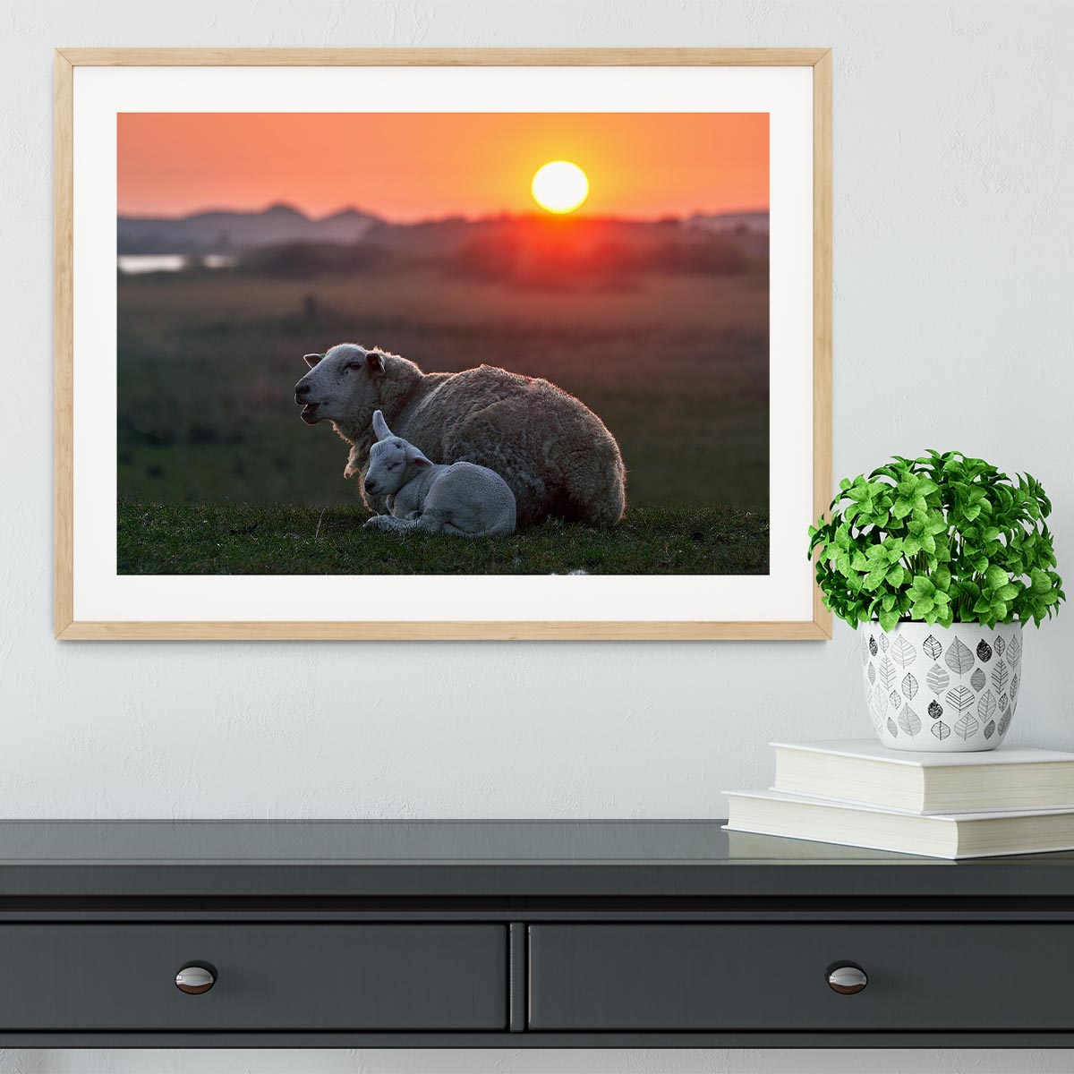 Sleep well Sheep Framed Print - Canvas Art Rocks - 3