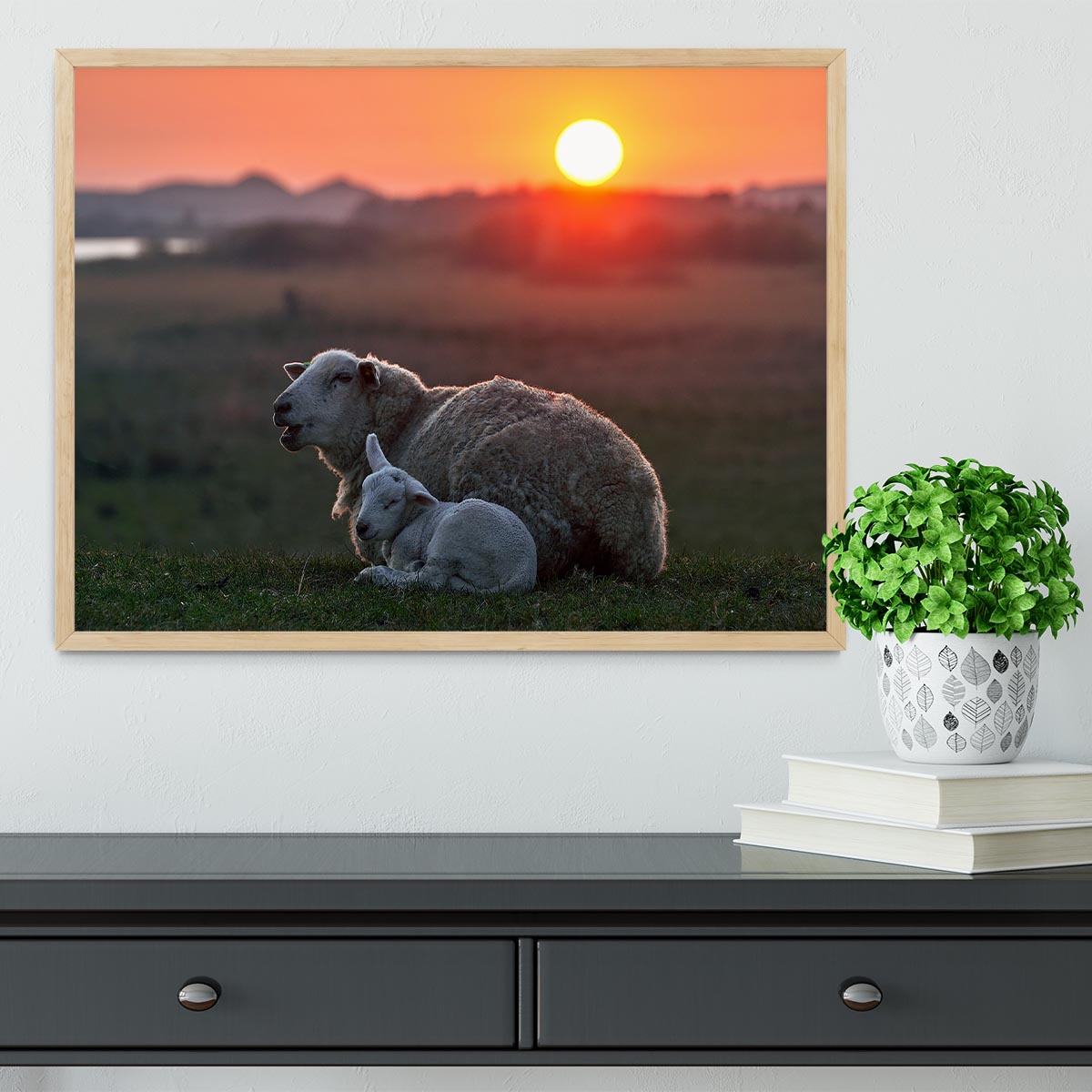 Sleep well Sheep Framed Print - Canvas Art Rocks - 4