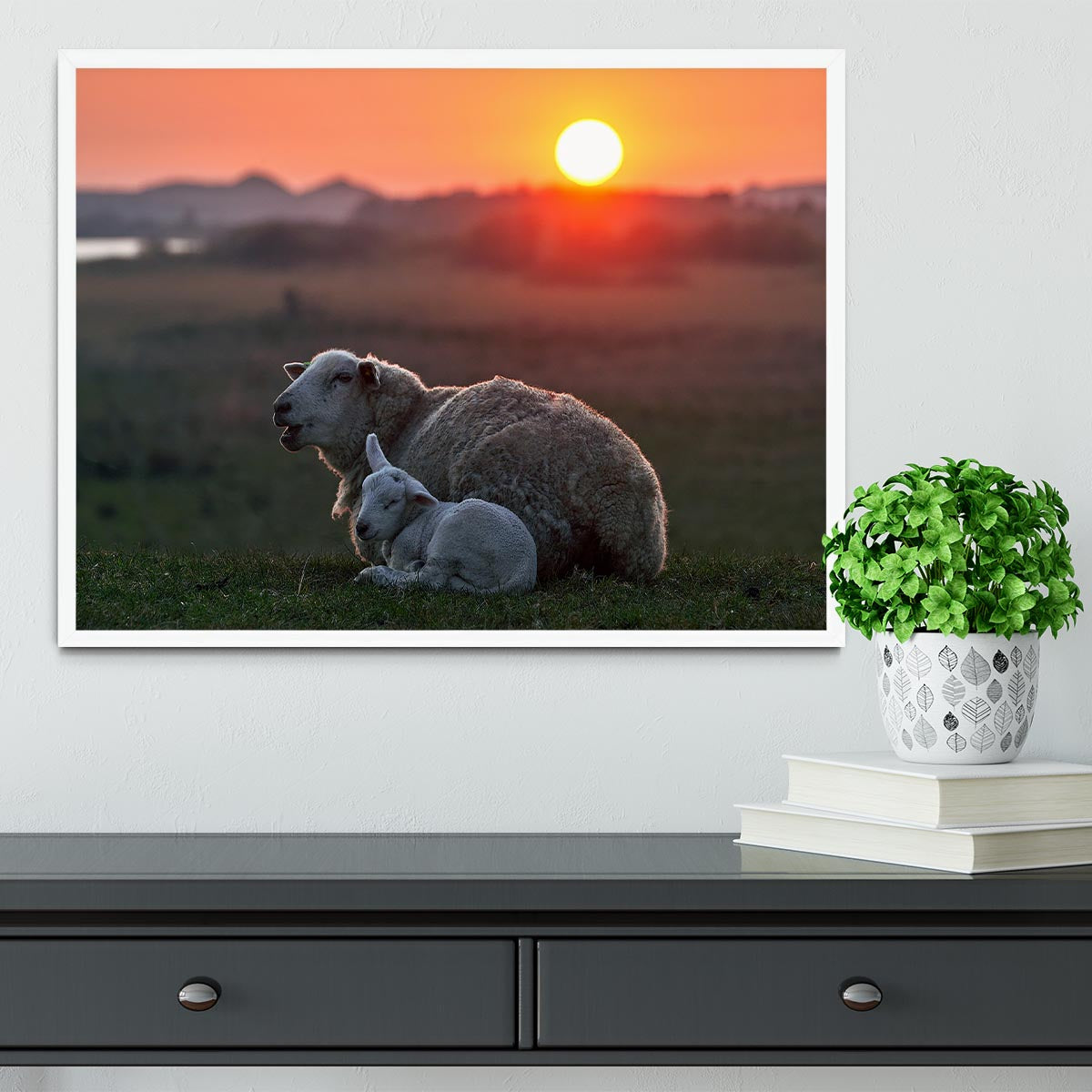 Sleep well Sheep Framed Print - Canvas Art Rocks -6