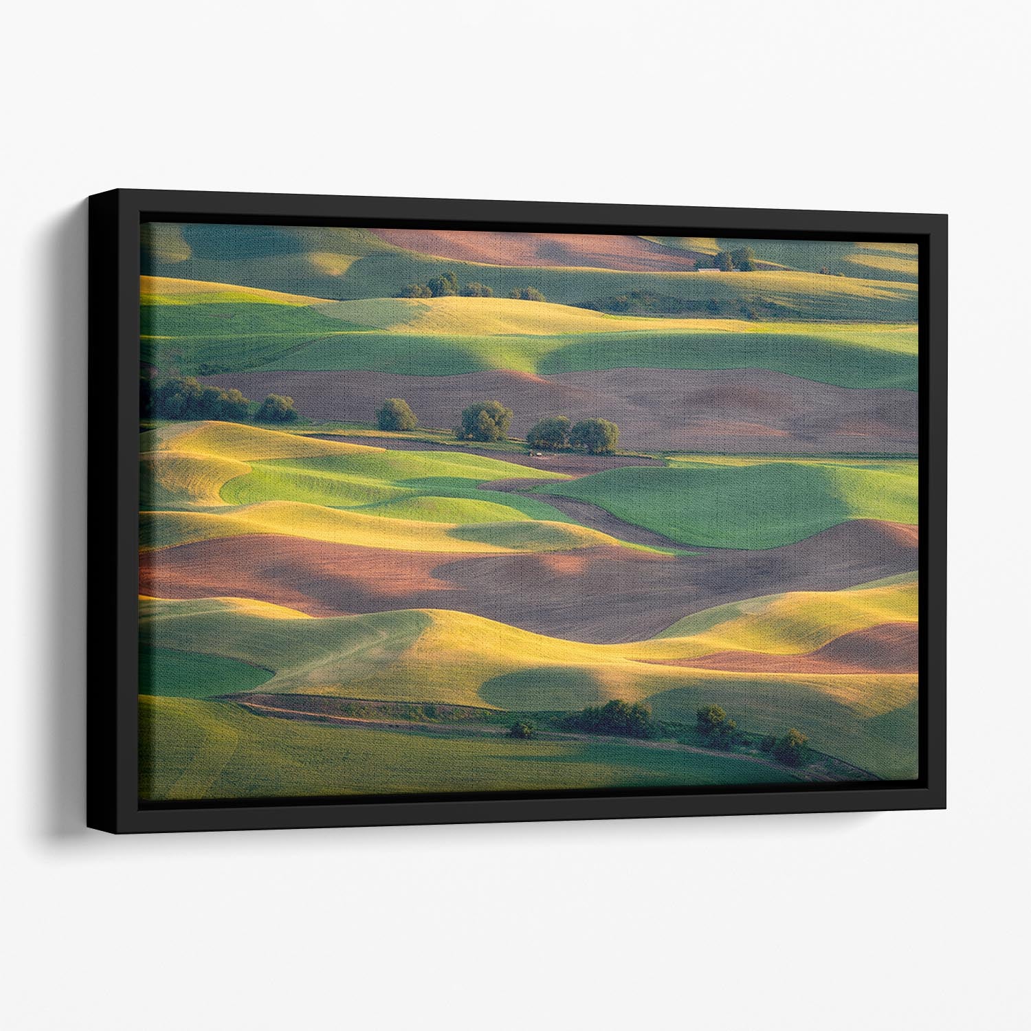 Colorful Palouse Floating Framed Canvas - Canvas Art Rocks - 1