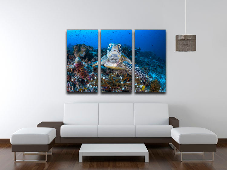 Face To Face With A Green Turtle 3 Split Panel Canvas Print - Canvas Art Rocks - 3