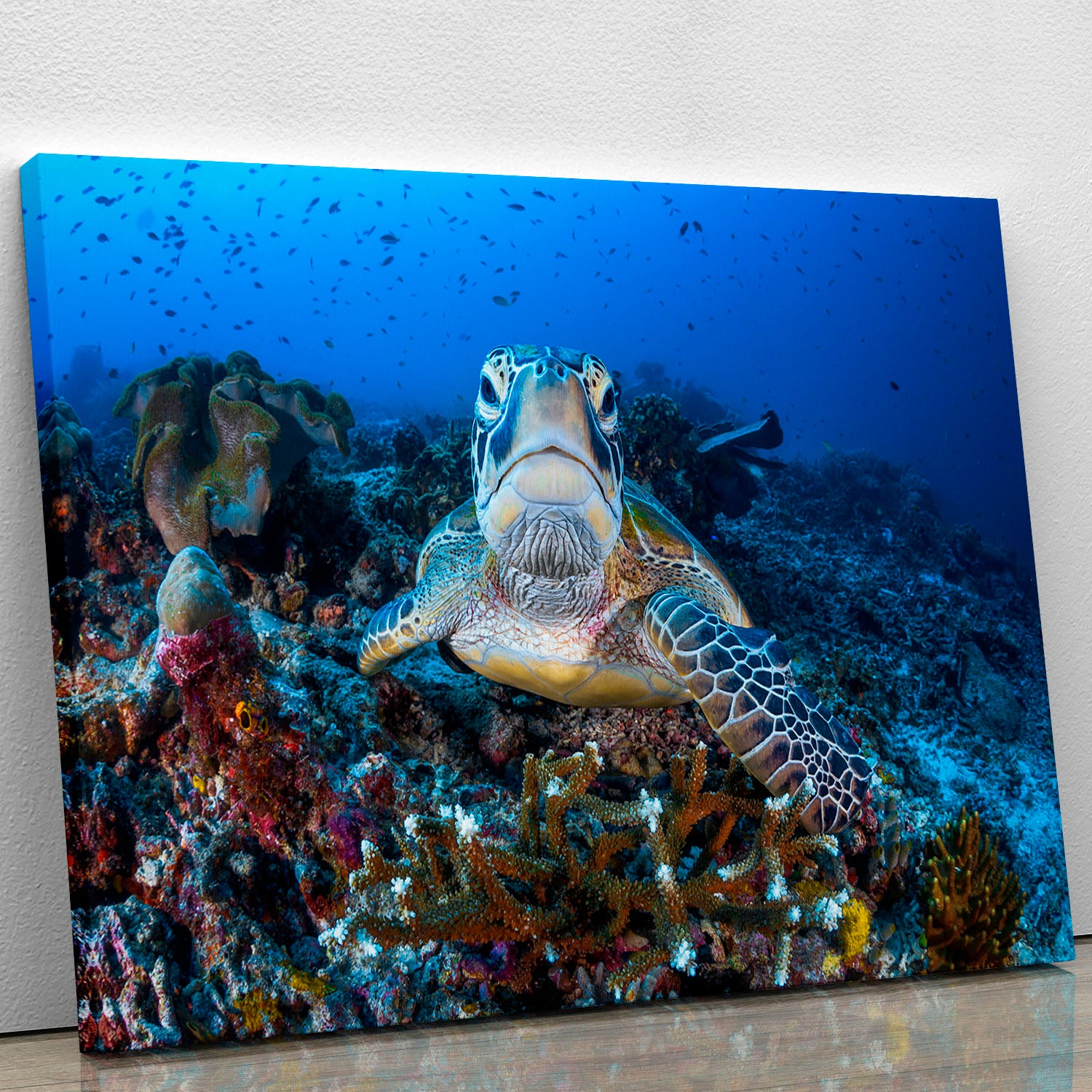 Face To Face With A Green Turtle Canvas Print or Poster - Canvas Art Rocks - 1