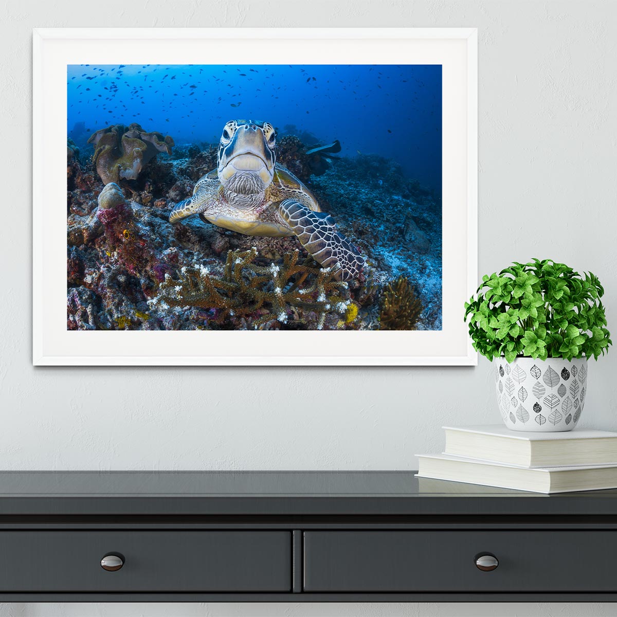 Face To Face With A Green Turtle Framed Print - Canvas Art Rocks - 5