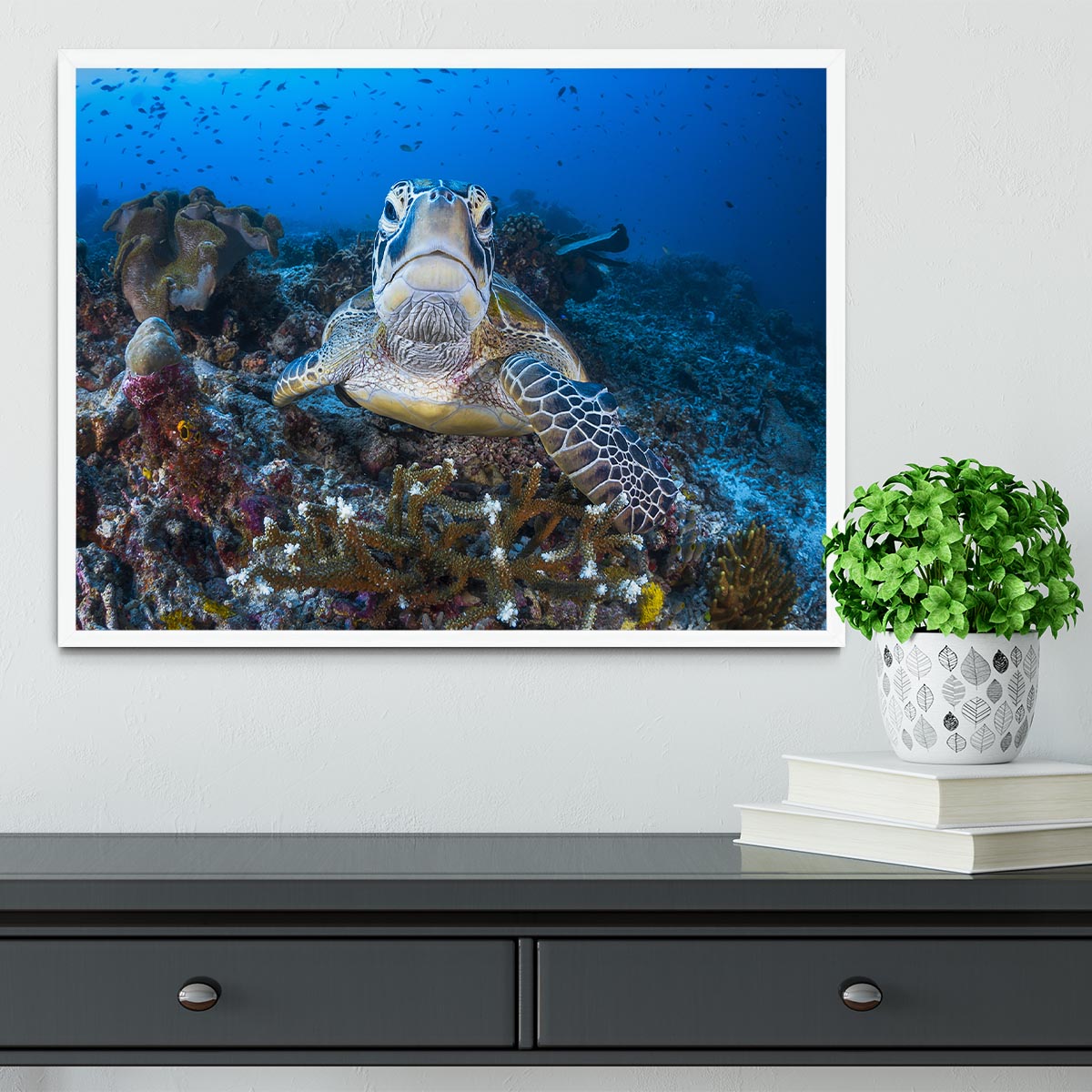 Face To Face With A Green Turtle Framed Print - Canvas Art Rocks -6