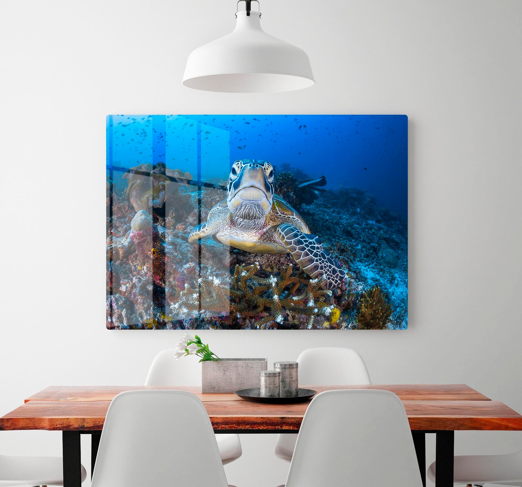 Face To Face With A Green Turtle HD Metal Print - Canvas Art Rocks - 2