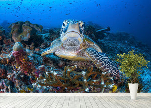 Face To Face With A Green Turtle Wall Mural Wallpaper - Canvas Art Rocks - 4