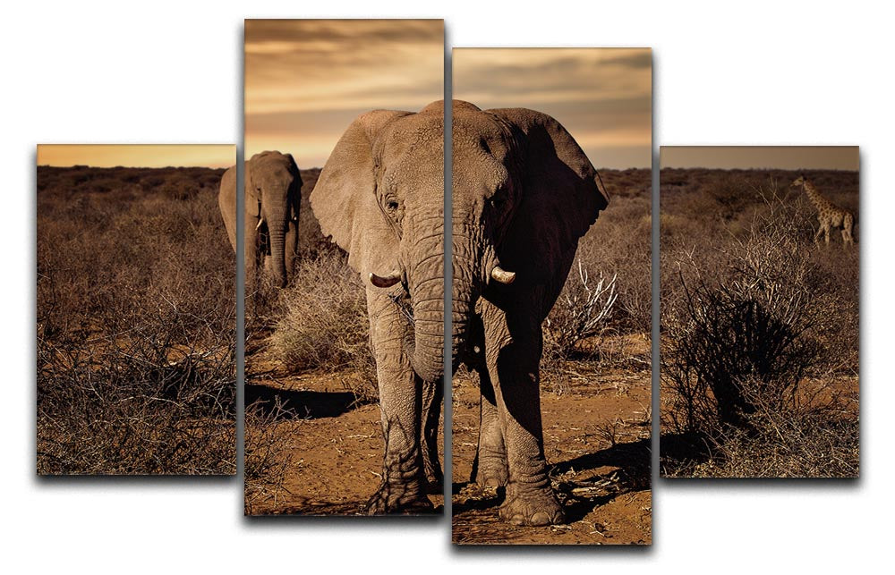 Elephant Posing 4 Split Panel Canvas - Canvas Art Rocks - 1