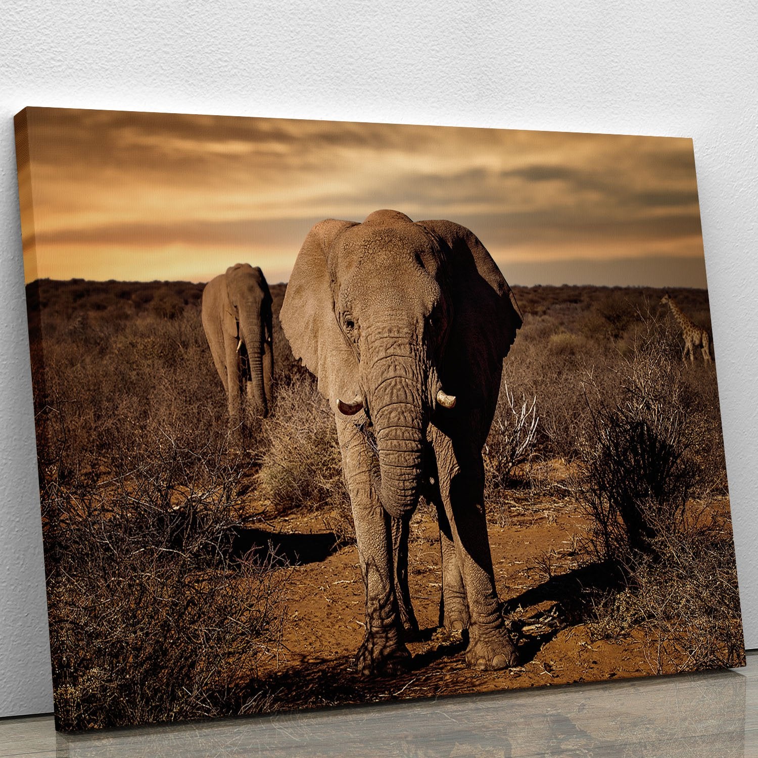Elephant Posing Canvas Print or Poster - Canvas Art Rocks - 1