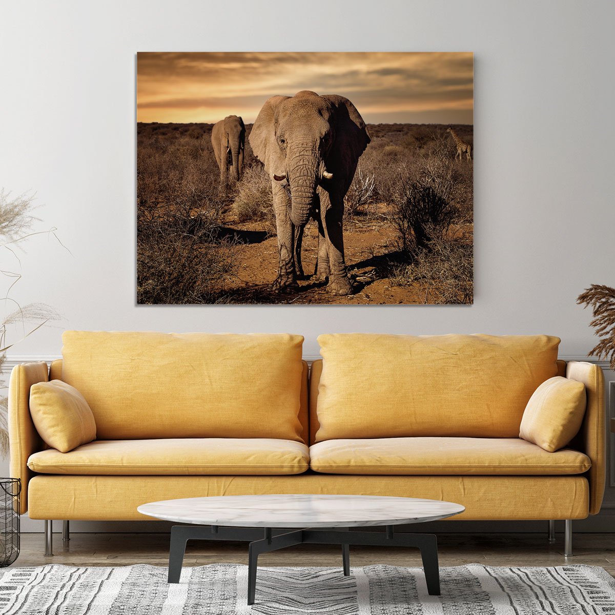 Elephant Posing Canvas Print or Poster - Canvas Art Rocks - 4