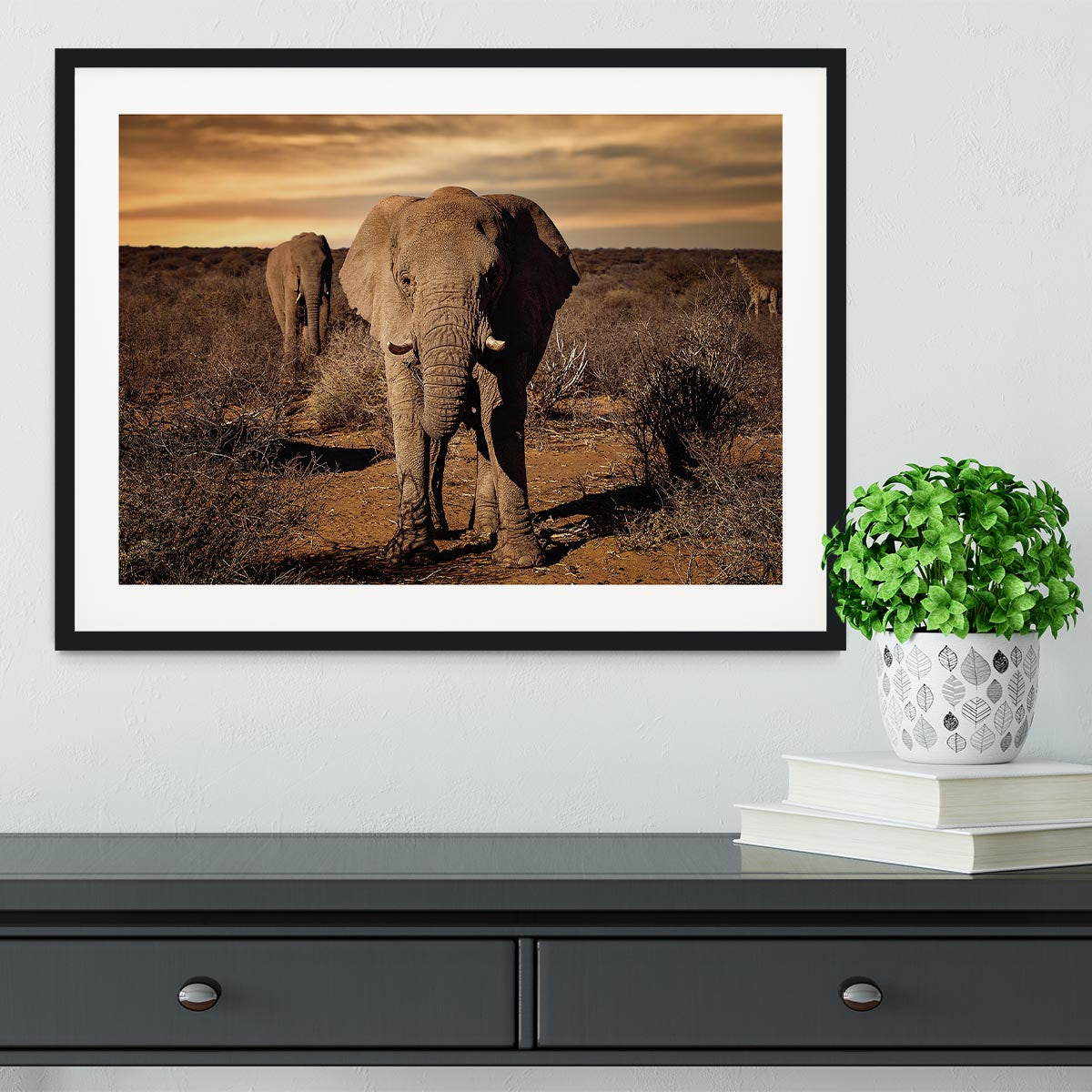 Elephant Posing Framed Print - Canvas Art Rocks - 1
