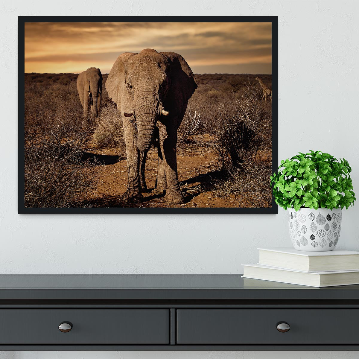 Elephant Posing Framed Print - Canvas Art Rocks - 2