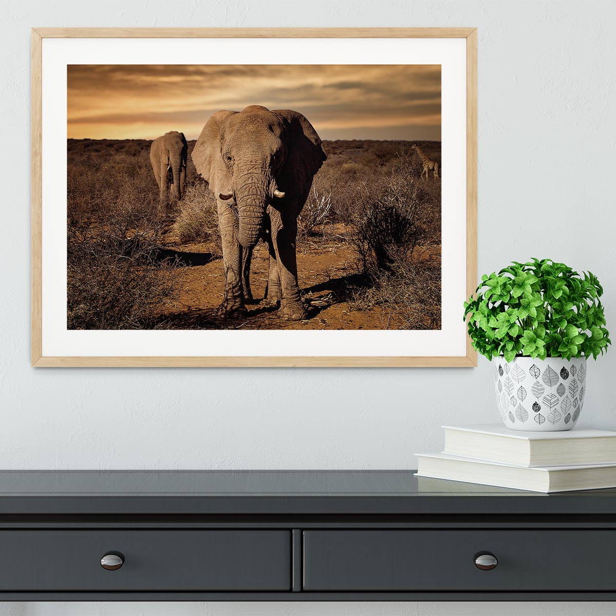 Elephant Posing Framed Print - Canvas Art Rocks - 3