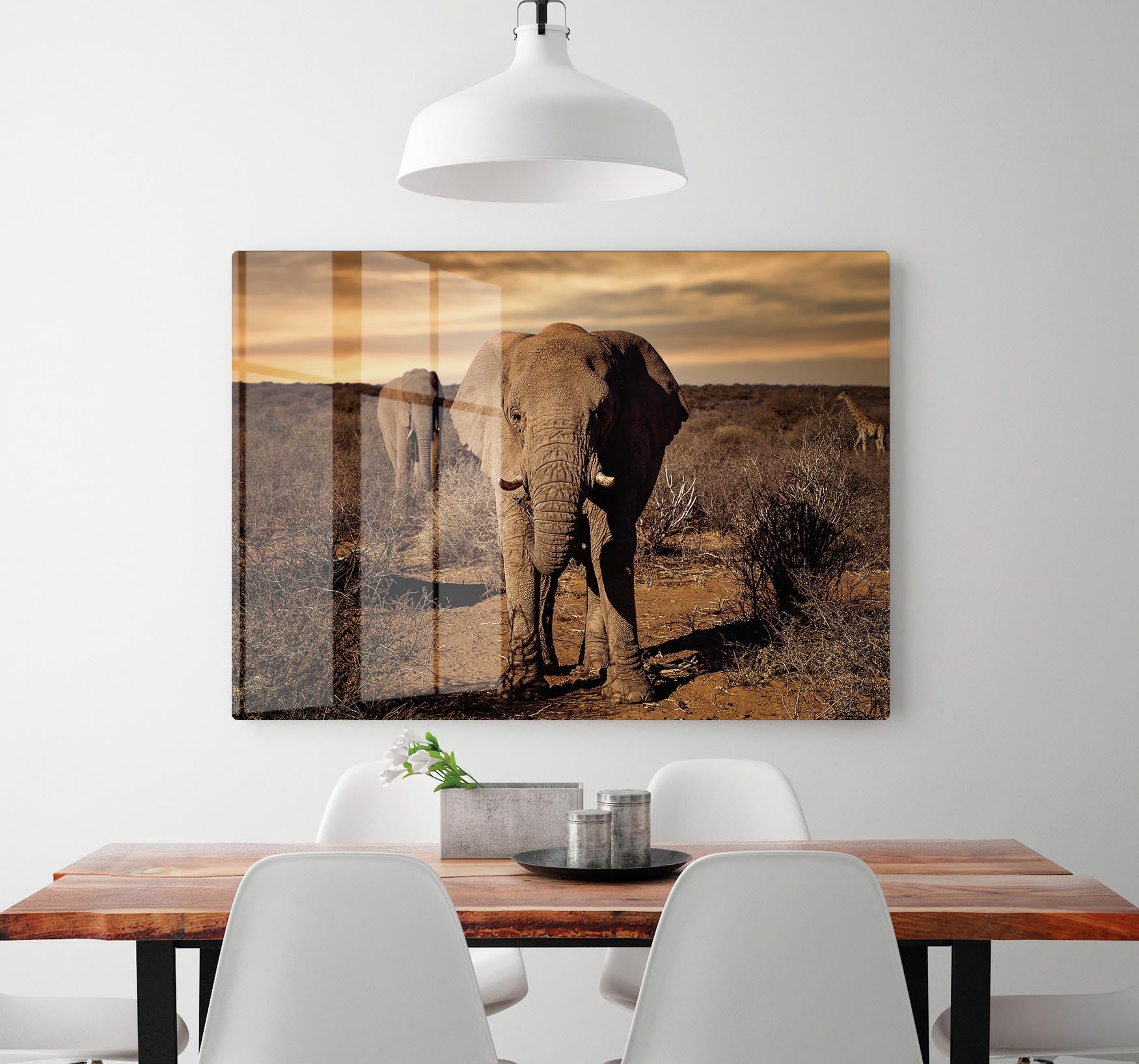 Elephant Posing HD Metal Print - Canvas Art Rocks - 2
