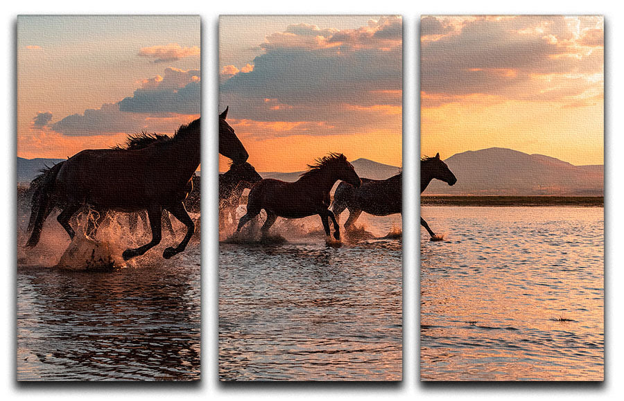 Water Horses 3 Split Panel Canvas Print - Canvas Art Rocks - 1