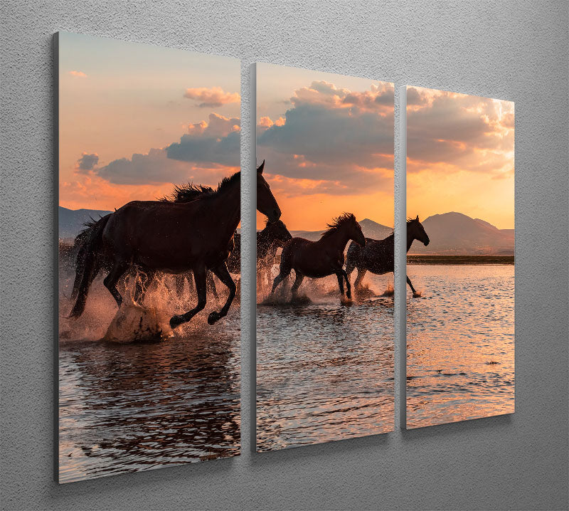 Water Horses 3 Split Panel Canvas Print - Canvas Art Rocks - 2