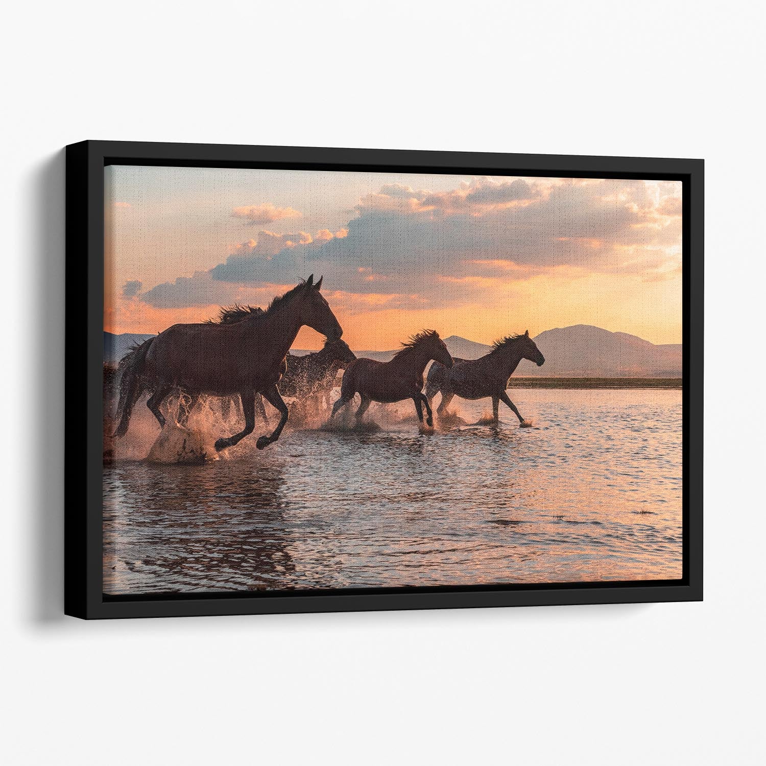 Water Horses Floating Framed Canvas - Canvas Art Rocks - 1