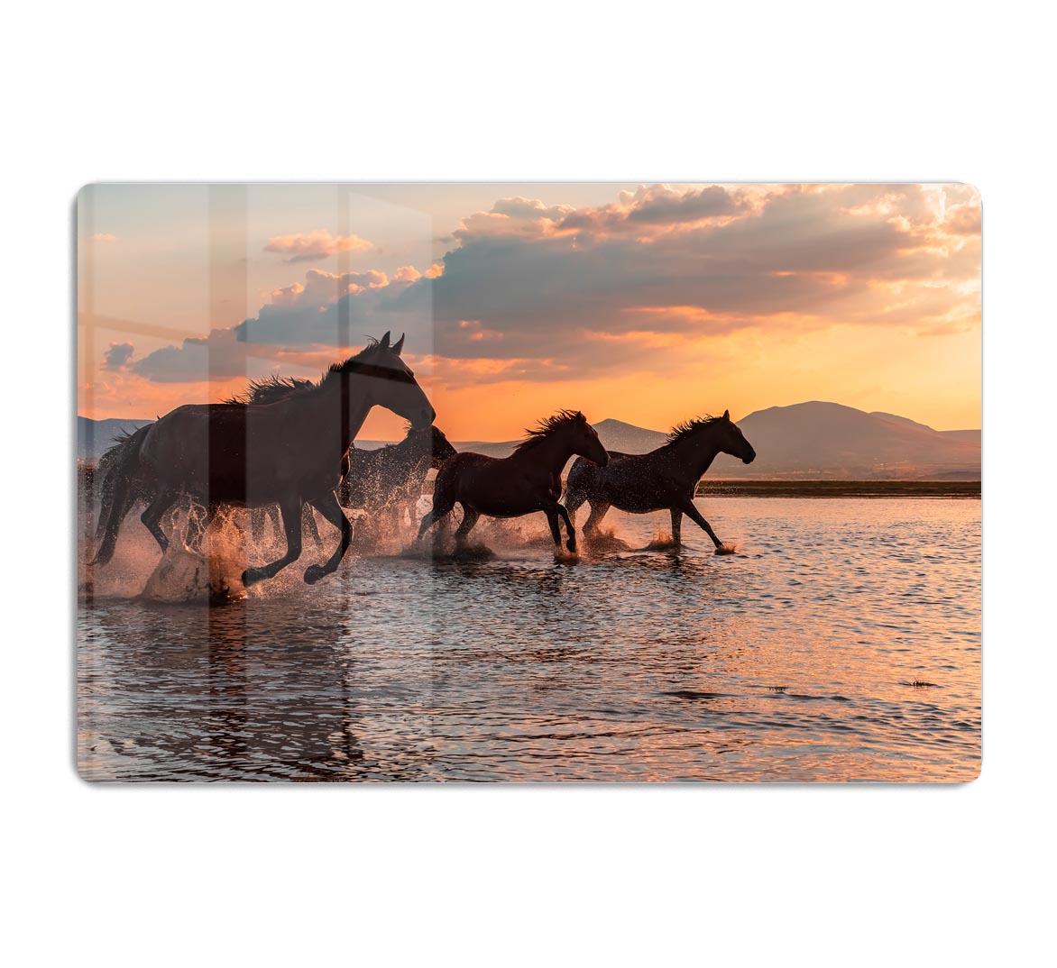 Water Horses HD Metal Print - Canvas Art Rocks - 1