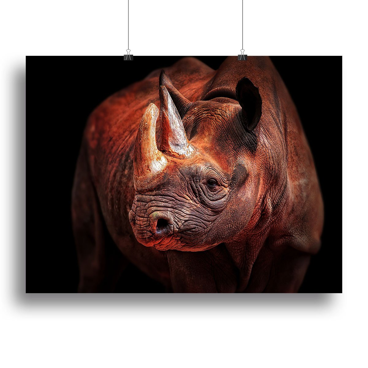 Rhino Posing Canvas Print or Poster - Canvas Art Rocks - 2