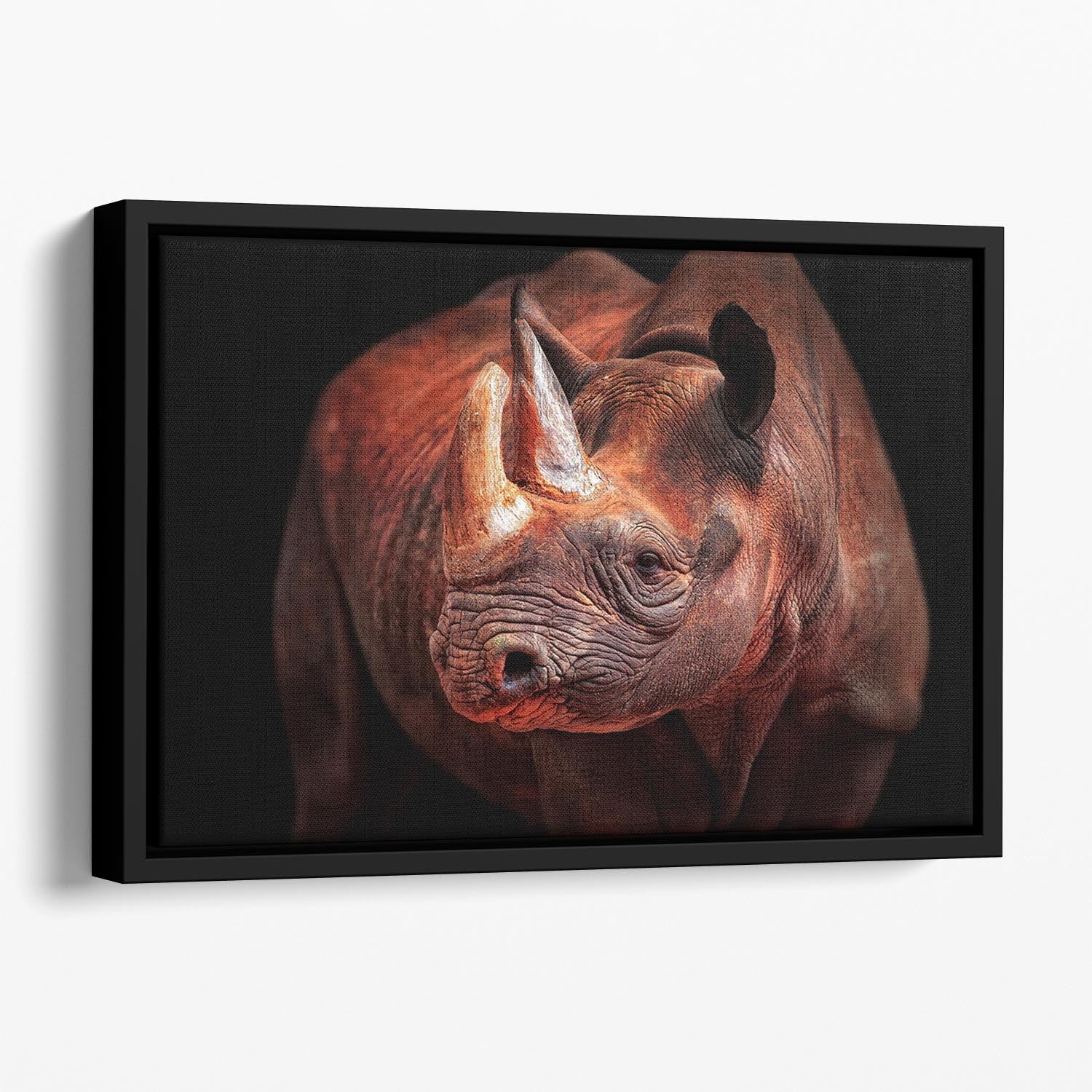 Rhino Posing Floating Framed Canvas - Canvas Art Rocks - 1