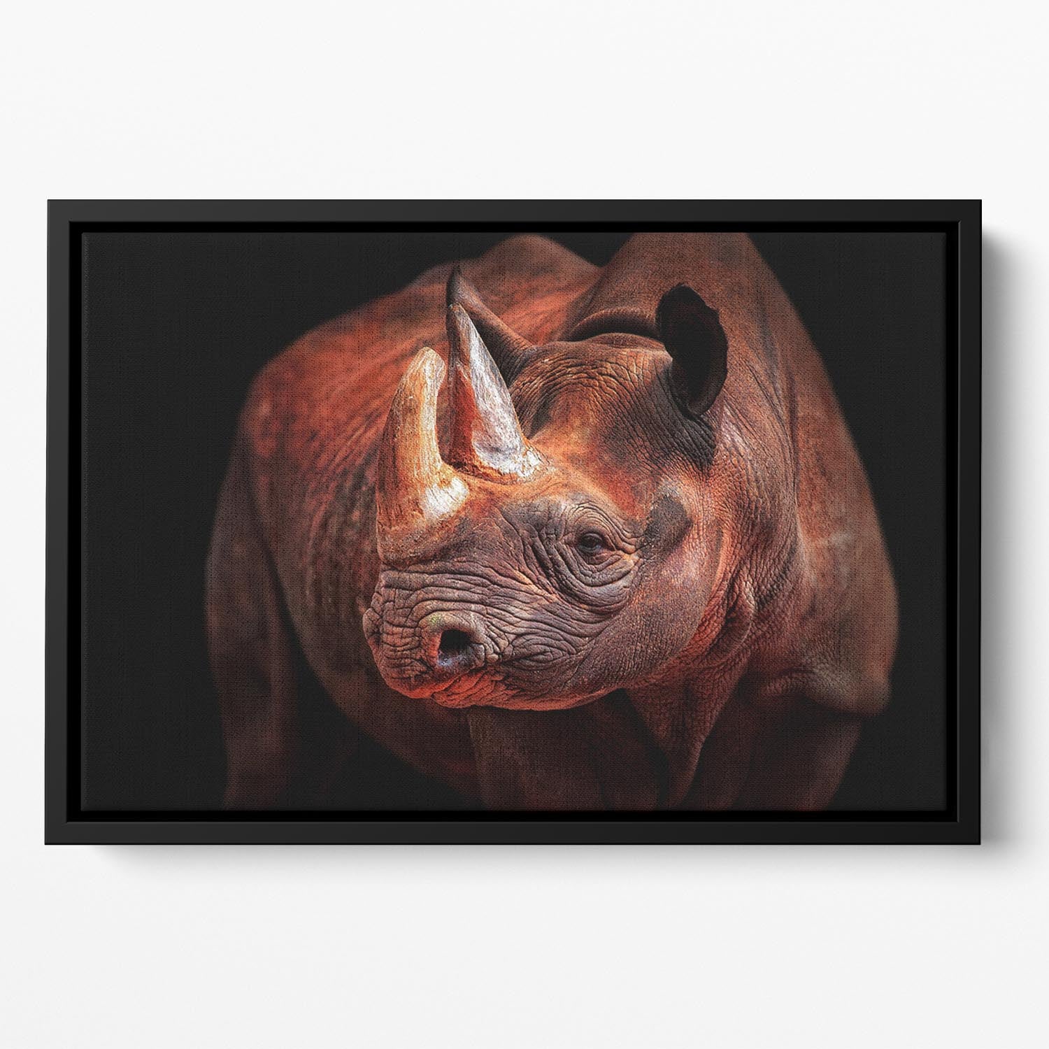 Rhino Posing Floating Framed Canvas - Canvas Art Rocks - 2